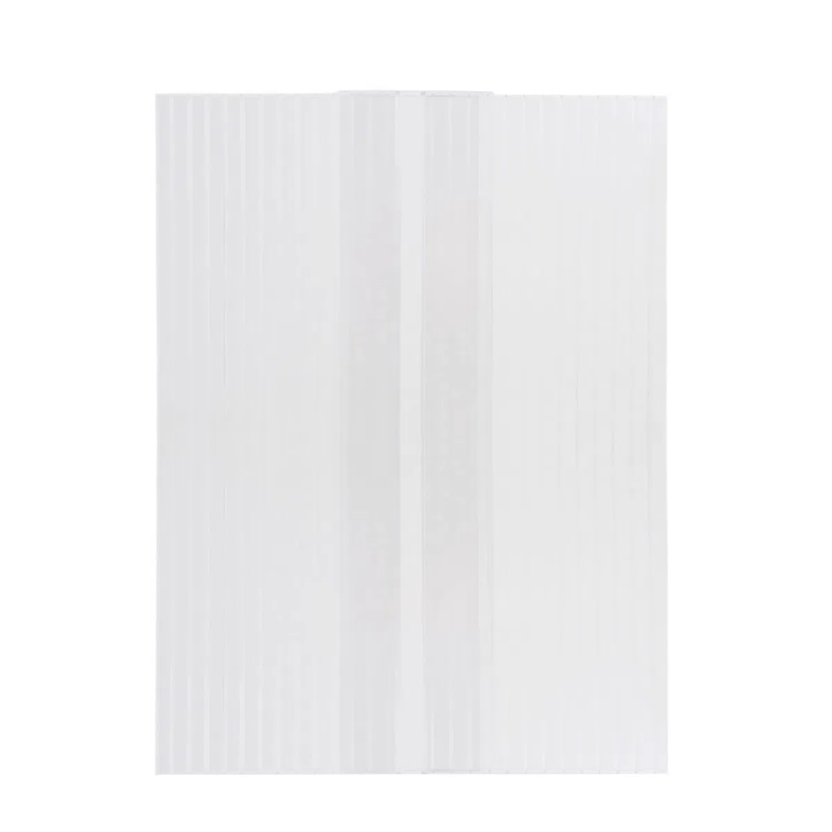 Lastra Policarbonato Alveolare EXOLON 3000x1050 mm Spessore 6 mm 2 Pareti OPALE