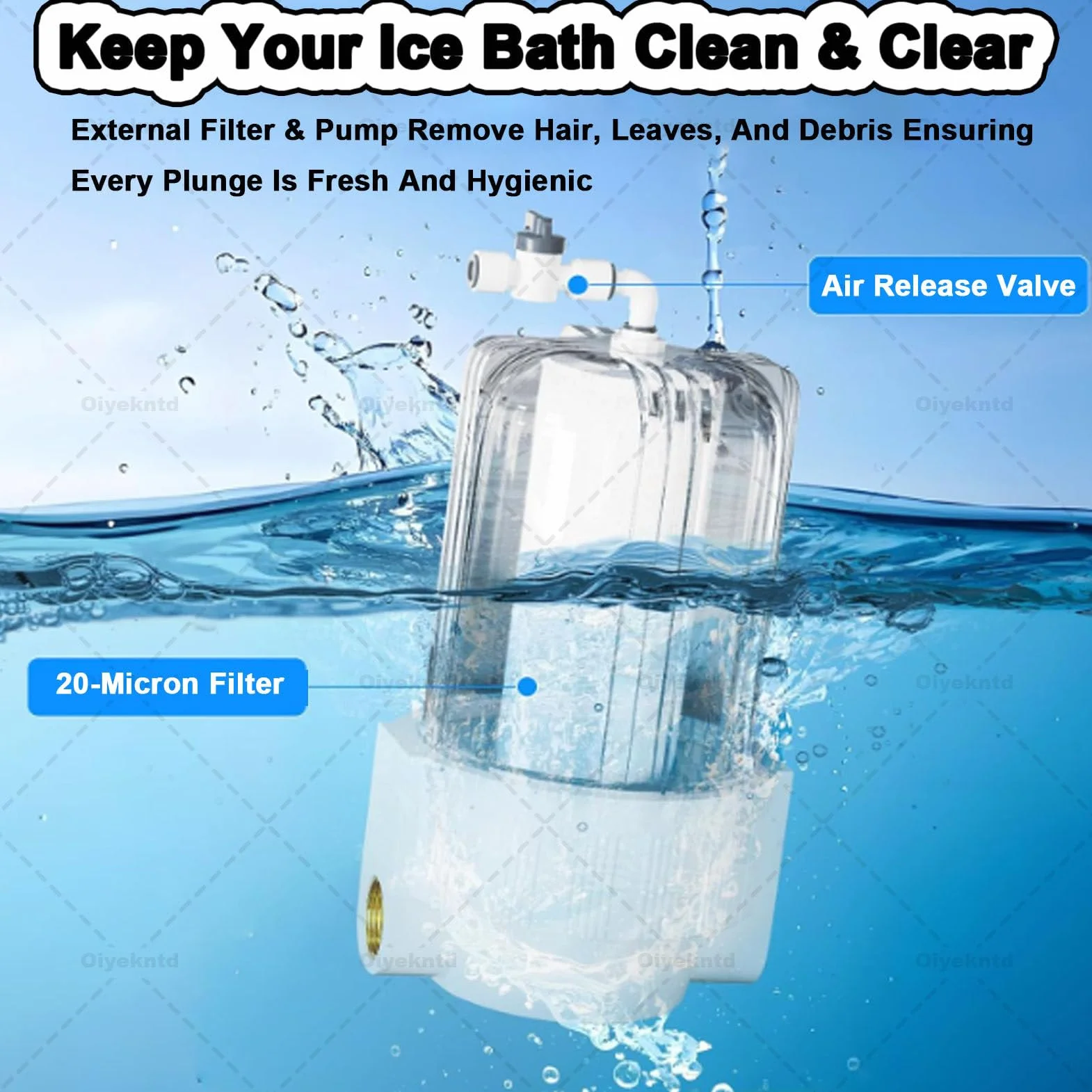 Refrigeratore d'acqua per vasche idromassaggio fredde, refrigeratore d'acqua per vasche idromassaggio fredde con 2 pompe, filtro esterno e telecomando, unità di raffreddamento d'acqua per vasche