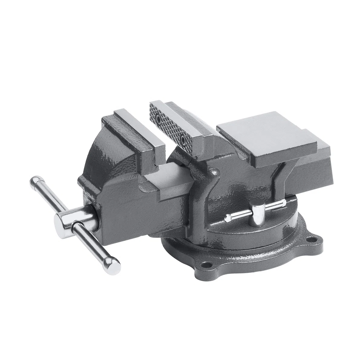 MEISTER Etau base tournable 100 mm
