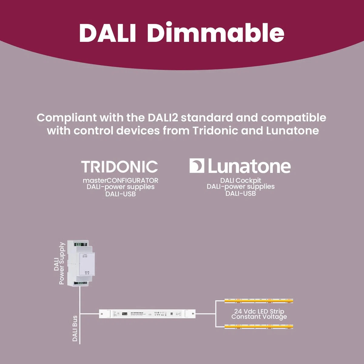 Trasformatore LED 24V 30W - 100W Dimmerabile DALI PUSH Sottile per Strisce LED Alimentatore Driver Power Supply