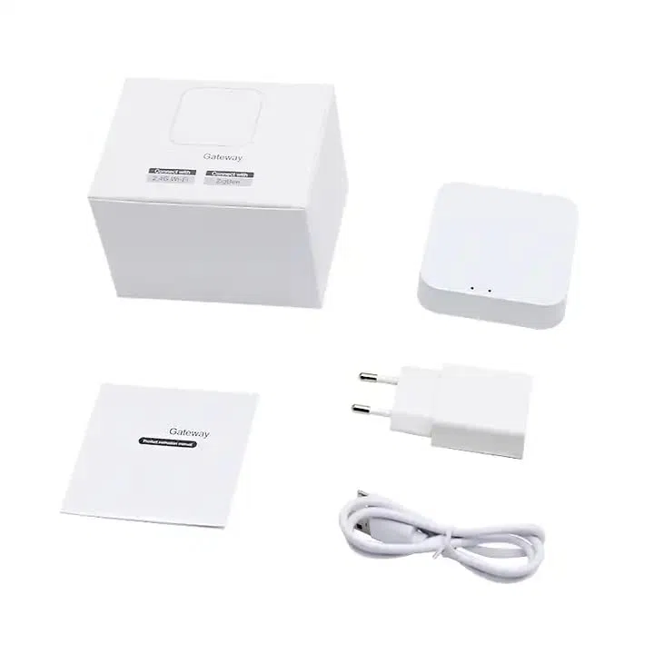 Gateway bluetooth – Wifi 2.4 Ghz DV-GAK, per Dispositivo di Controllo Accessi DV-FAK, App DadVu (Smart Life)