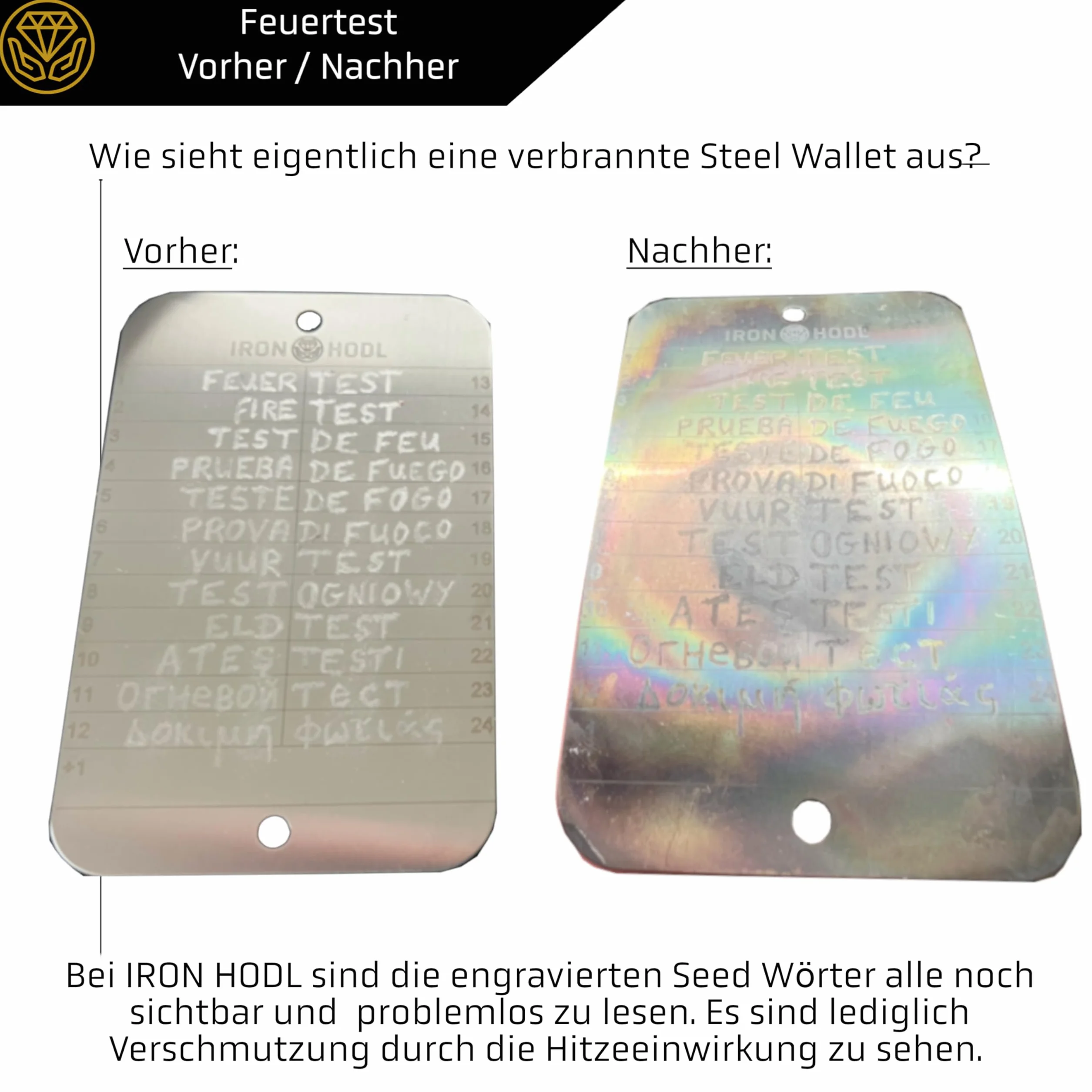 Portafoglio in acciaio + penna per incisione dorata + piastra di prova, viti, adesivi, scatola – (2 x 24 + 1) Recovery Seed Phrase metallo Crypto Wallet Bitcoin Wallet Crypto Cold Wallet