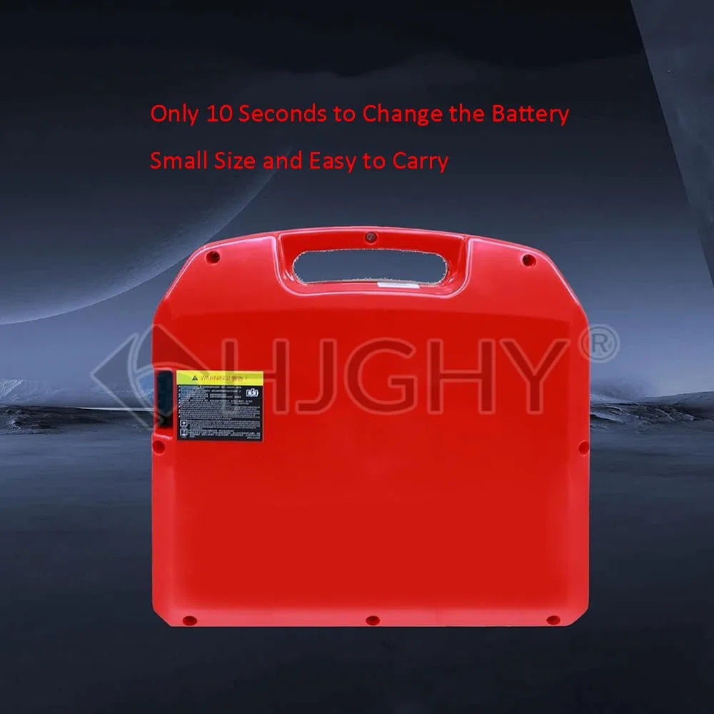 Batteria al Litio per transpallet Elettrico da 24 V 20 Ah 30 Ah 40 Ah 60 Ah; Pacco batterie per Carrello elevatore da 48 V 20 Ah 30 Ah.