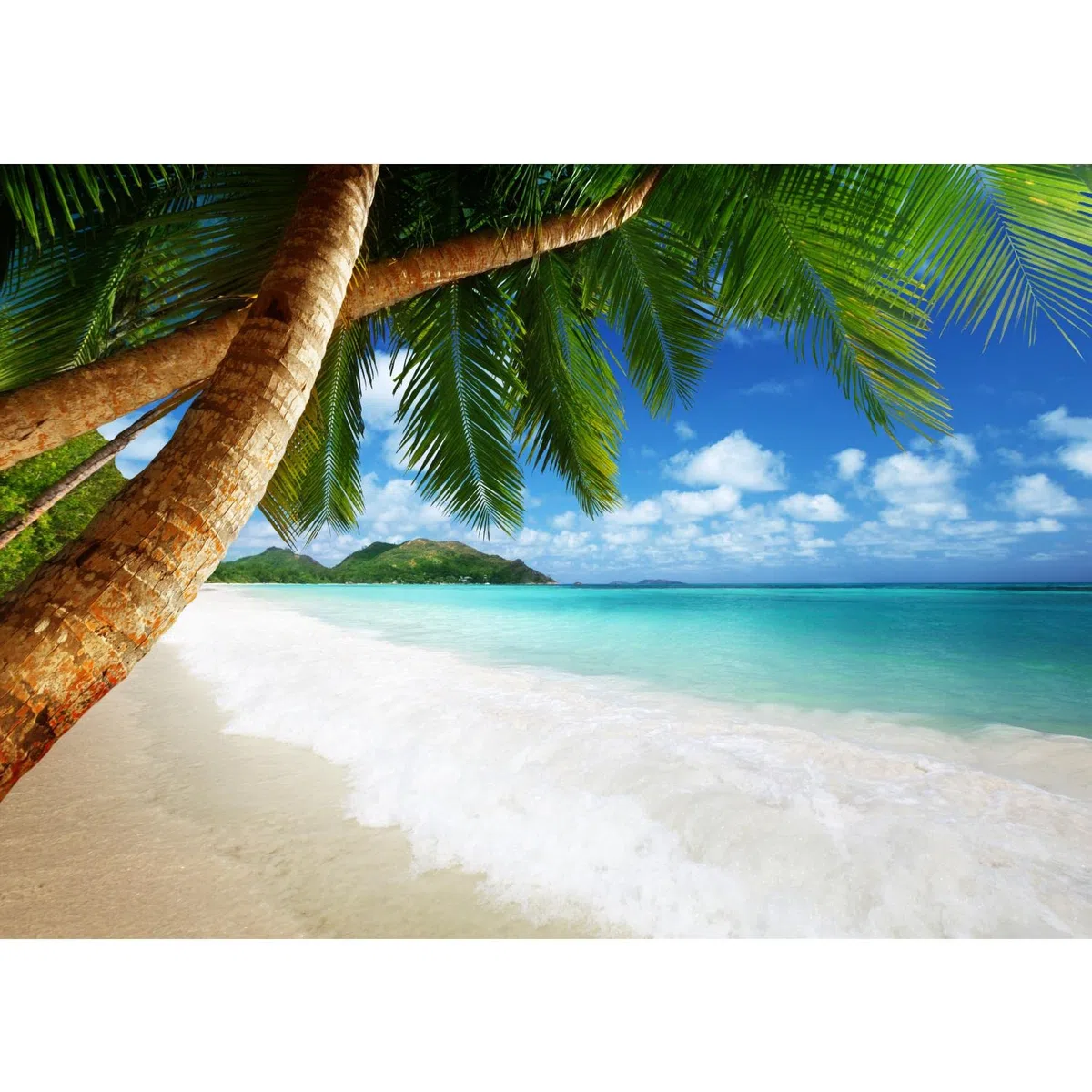 Runa Art Carta da parati fotografica 396 x 280 cm Spiaggia e mare palma | Vello Decorazione Murale Soggiorno Camera Da Letto | Manifattura tedesca | Verde blu 9004012b