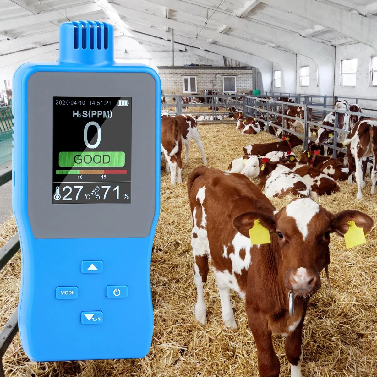 Dispositivo rilevamento H2S compatto con allarme sonoro e luminoso per lo stoccaggio sicuro pericolose in laboratorio e in ambito industriale e l ' ispezione sul campo Tester accurato