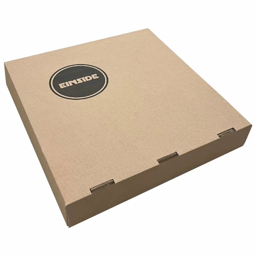 EINSIDE Sigillo zincato pesante porta pavimenti, Chiusino zincato botola a scomparsa altezza 5 cm, 40 x 40 cm