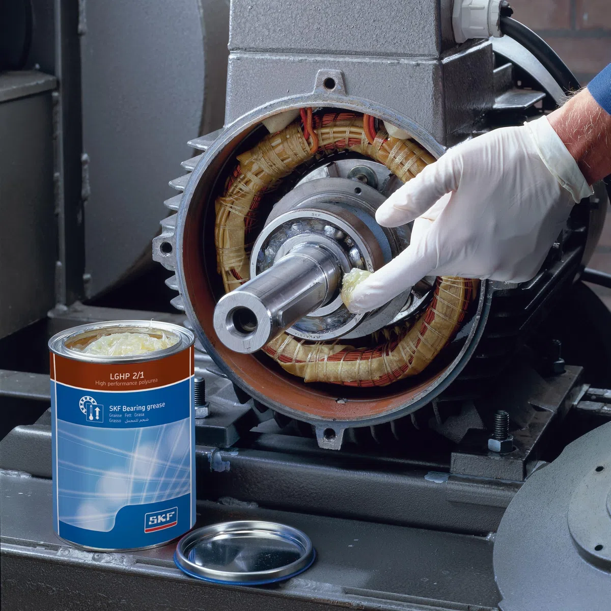 SKF Cuscinetto volvente Fett lghp 2/1 SKF