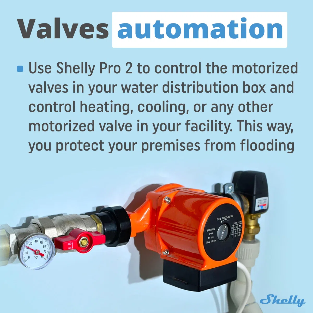 Shelly Pro 2, Wi-Fi & LAN Interruttore Intelligente Relé Bifase - 2 Canali, 25А, Contatto Pulito, Controllo Remoto e Automazione, per Guida DIN, Nessun Hub Richiesto, Alexa, Google Home