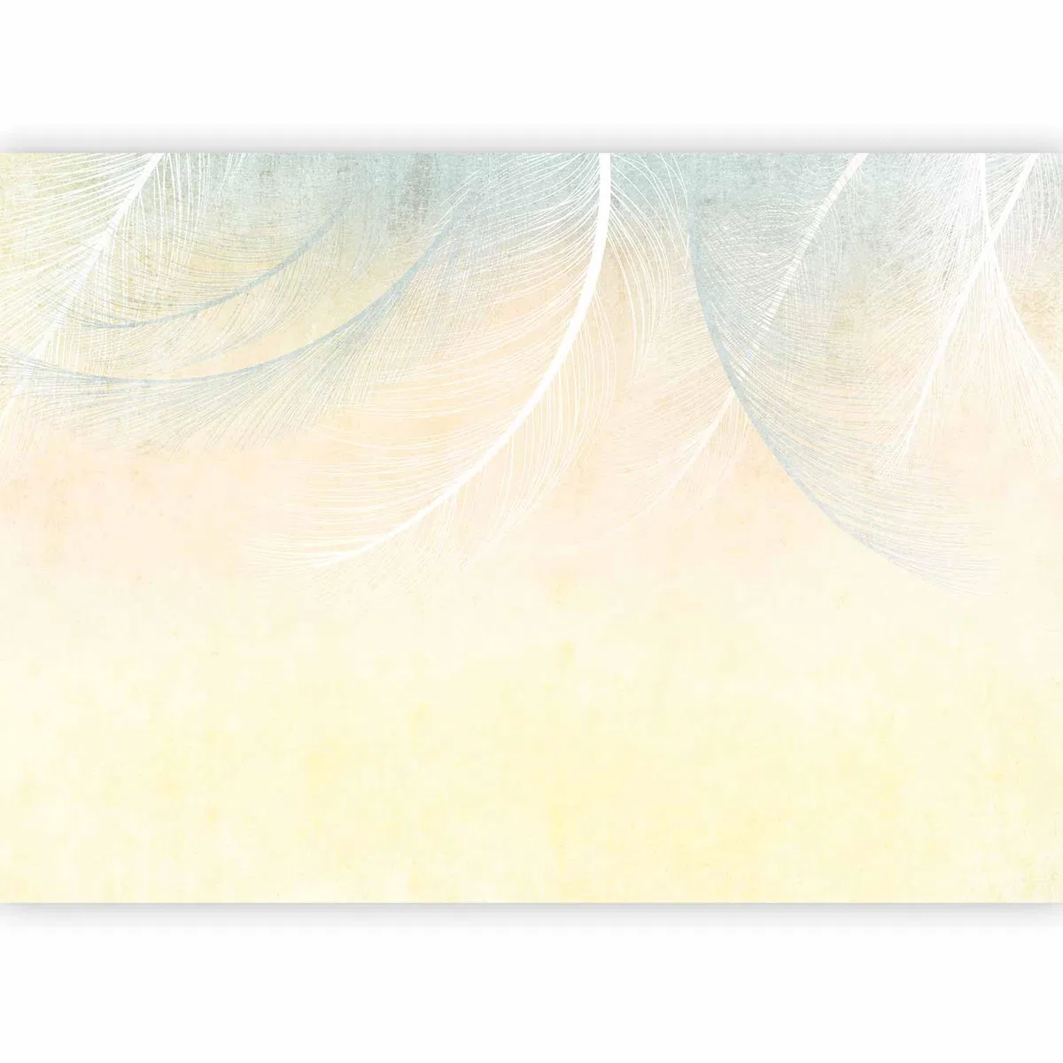 murando Carta da parati colorato Piume 400x280 cm Fotomurali in TNT Murale alla moda Decorazione da Muro XXL Poster Gigante Design Carta per pareti Aspetto concreto Boho come dipinto b-C-10182-a-a