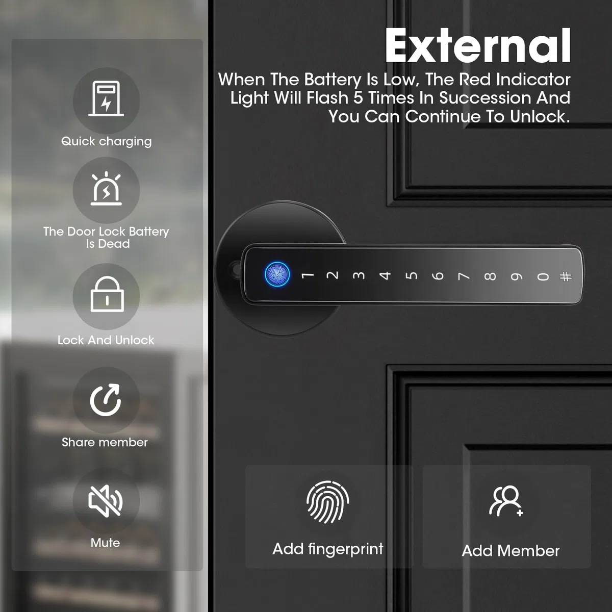 Serratura intelligente per porta, impronta digitale, serratura elettronica, telecomando con app per porta, con impronte digitali, Smart Lock, WLAN, Tuya, biometrica, impronte digitali, carta RFID