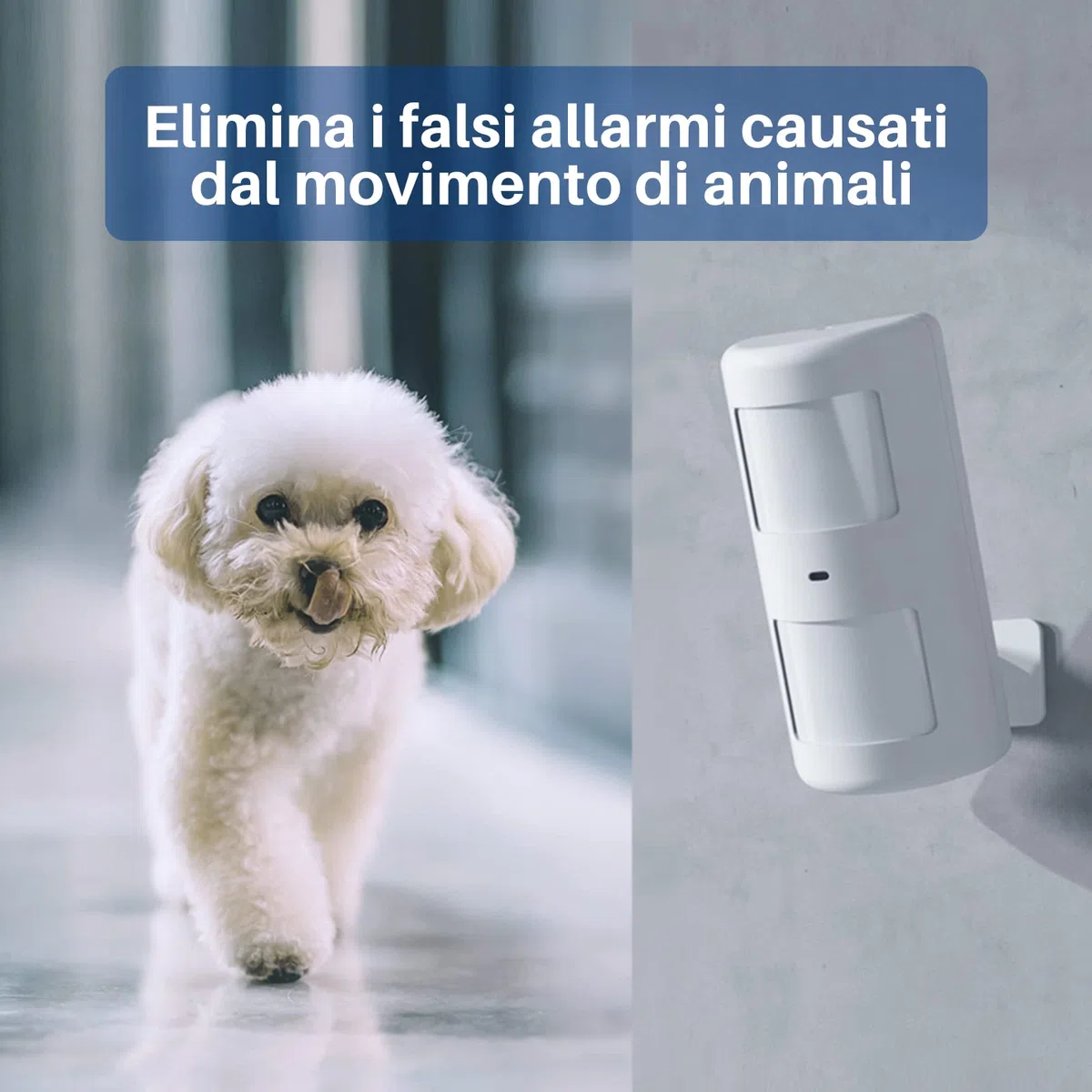 Chuango LTE-400 - Allarme domestico senza fili con sirena - Sistema di sicurezza domestica - Apriporta e finestra - Hub, sensori e telecomando - Allarme intelligente Wifi/4G