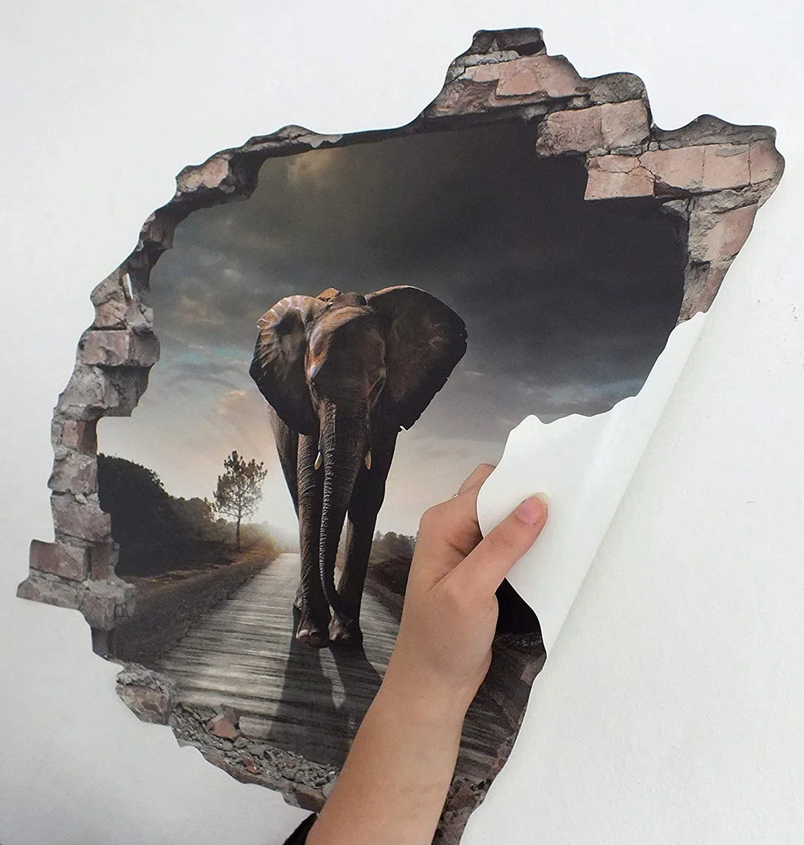 Queence | Adesivo da parete effetto 3D | Adesivo da parete | Finestra | Adesivo da parete | Adesivo da parete | Adesivo da parete | Tattoo, dimensioni: 60 x 50 cm, colore: New York