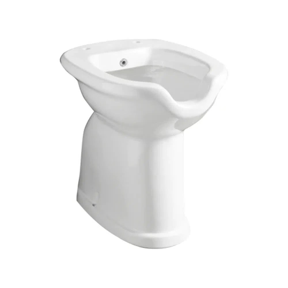 Sanitari Bagno Ceramica VASO / BIDET DISABILI COMPLETO DI EROGATORE Muro